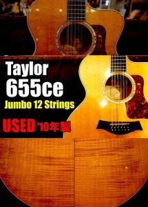 Taylor、20万円～30万円未満のアコースティックギター検索結果一覧