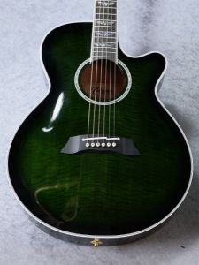 タカミネ　エレアコ　グリーン　緑 Takamine、緑 系のアコースティックギター検索結果一覧 | 【クロサワ