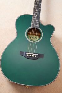 タカミネ　エレアコ　グリーン　緑 Takamine、緑 系のアコースティックギター検索結果一覧 | 【クロサワ