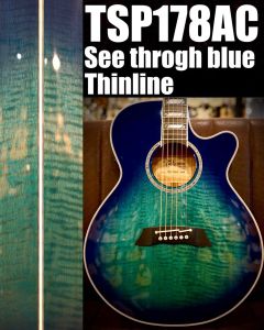 Takamine TDP181AC SBB エレアコ ハードケース付 2023年 takamine TDP181AC SBB エレアコ ハードケース仕合せ 2023年 Takamine