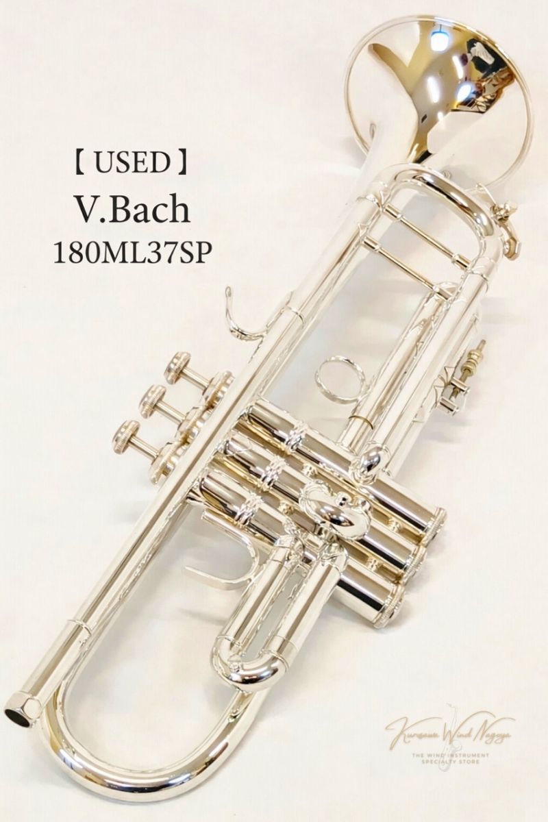 180ML37SP s/n 616***【中古】 | 【クロサワ楽器店オンラインショップ