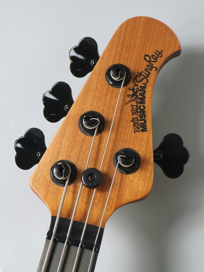 StingRay Special / FADED VINTAGE SUNBURST | 【クロサワ楽器店