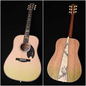 アコースティックギター 楽器 SAKURA Headway 2026 桜ギター特設ページ | Deviser ｜株式会社ディバイザー