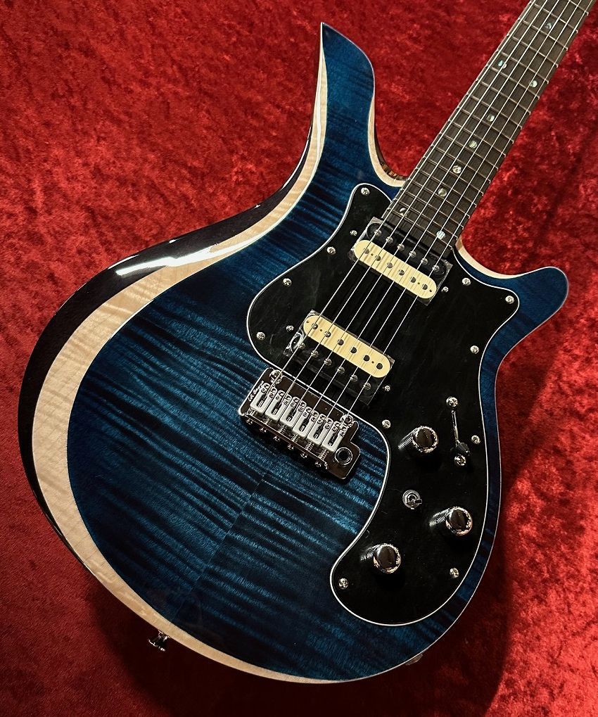 楽器 弦楽器、ギター HZK1 