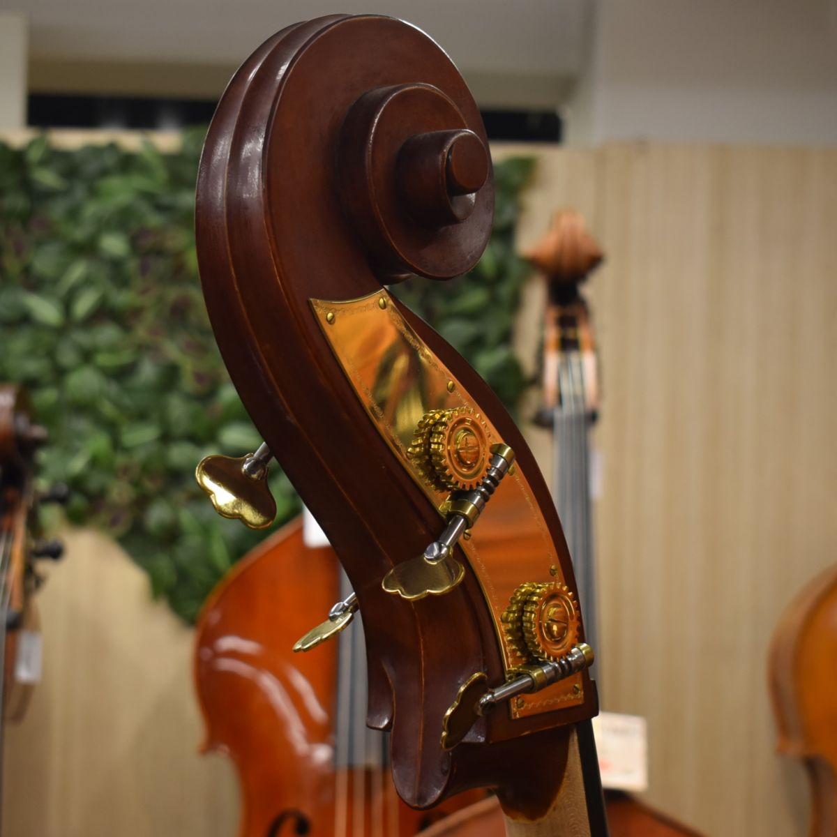 GemsⅡGamba Shape/F.Back | 【クロサワ楽器店オンラインショップ