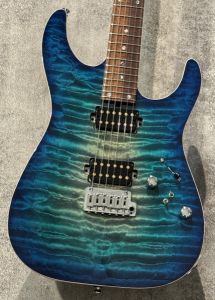 T's Guitars、24フレットのエレキギター検索結果一覧 | 【クロサワ楽器