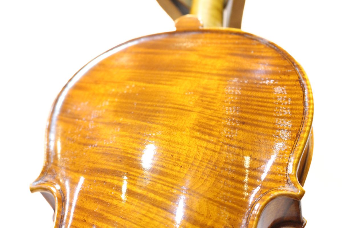Stefano Trabucchi【中古バイオリン】 | 【クロサワ楽器店オンライン