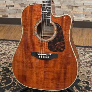 Takamine、ドレッドノート タイプのアコースティックギター検索結果