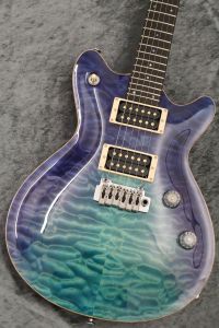 T's Guitars、24フレットのエレキギター検索結果一覧 | 【クロサワ楽器