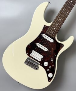 FUJIGEN(FGN)、20万円～30万円未満のエレキギター検索結果一覧