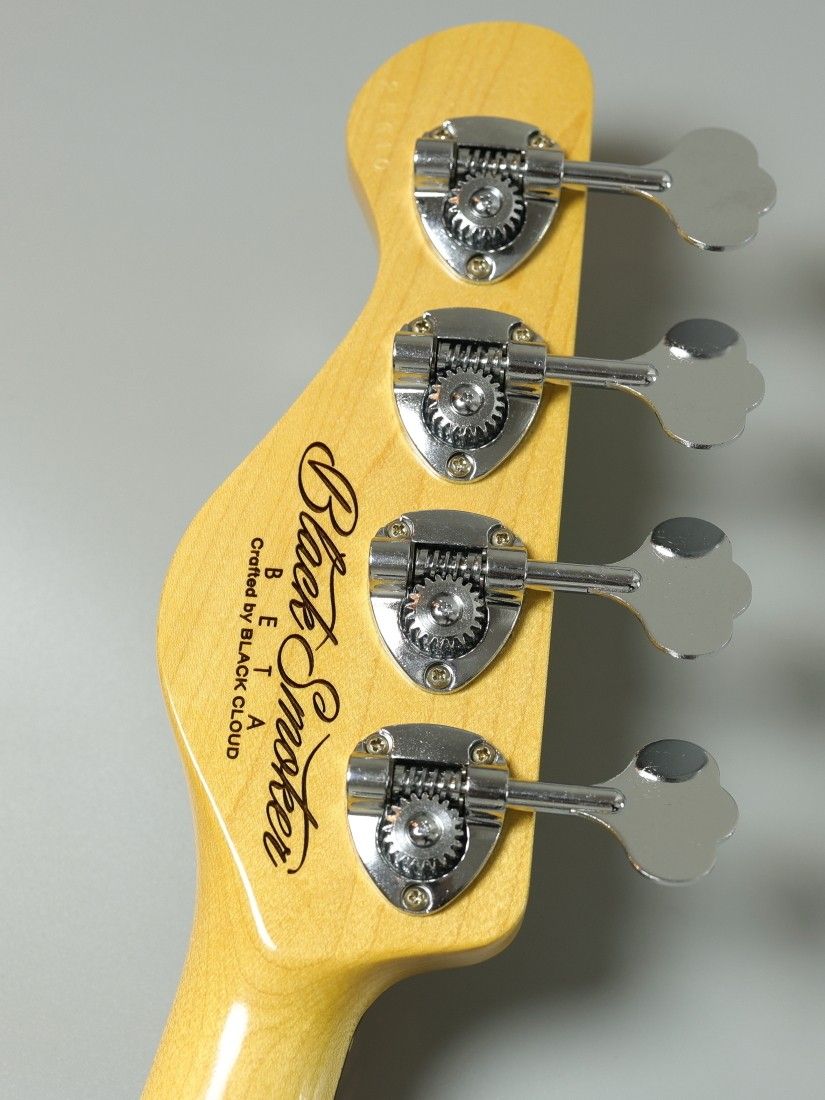 Trad Master Series Beta J4 / Vintage White / Light Aged