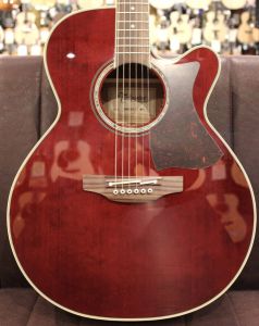 Takamine、10万円～20万円未満のアコースティックギター検索結果一覧