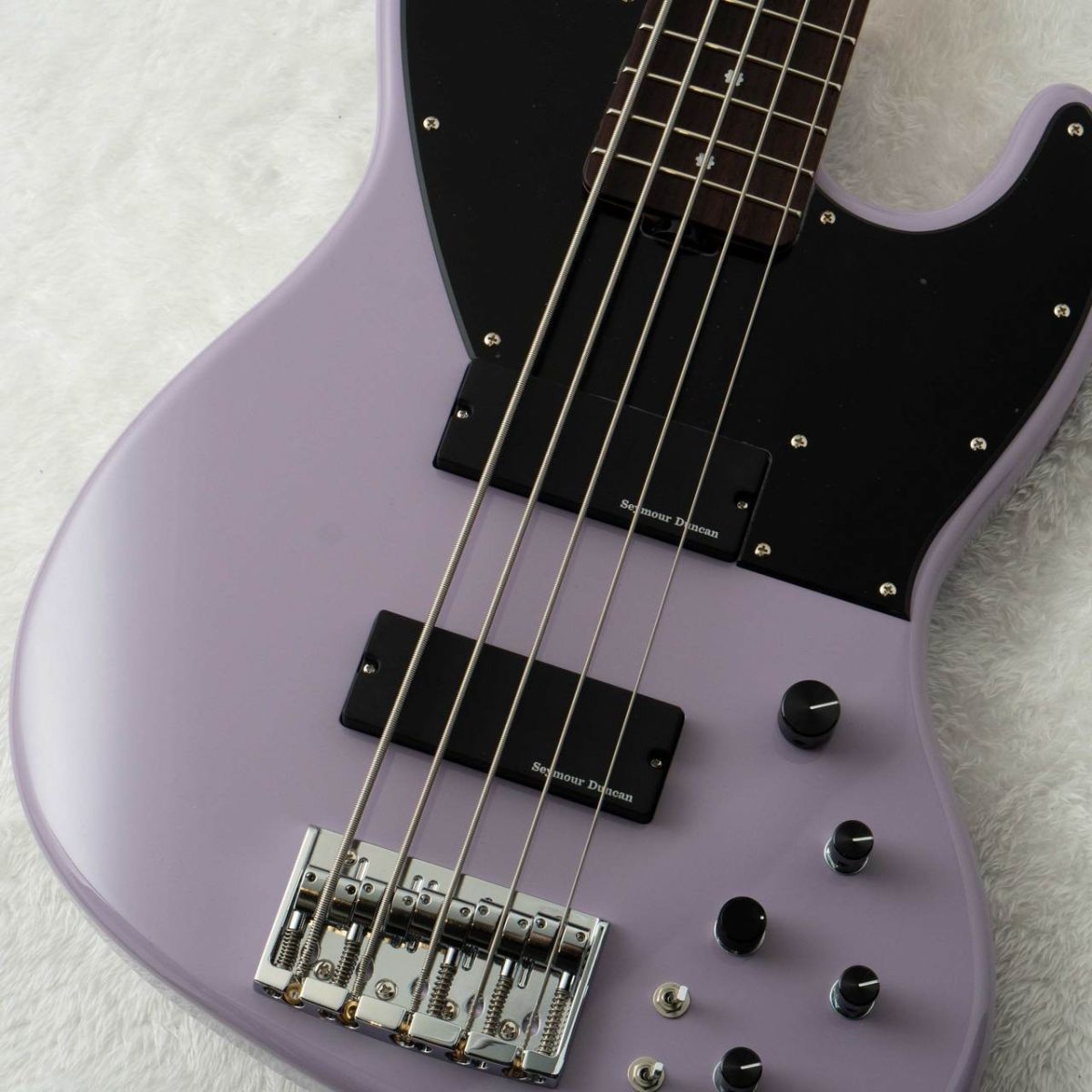 AC-EXB-5-AveMujica/Timoris/SIG #260308 | 【クロサワ楽器店