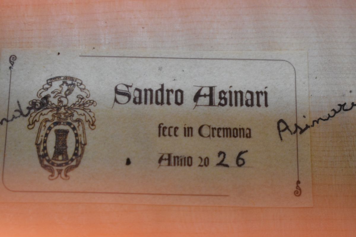 Sandro Asinari 2026年製 | 【クロサワ楽器店オンラインショップ】いい