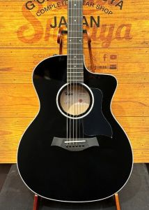 Taylor、20万円～30万円未満のアコースティックギター検索結果一覧