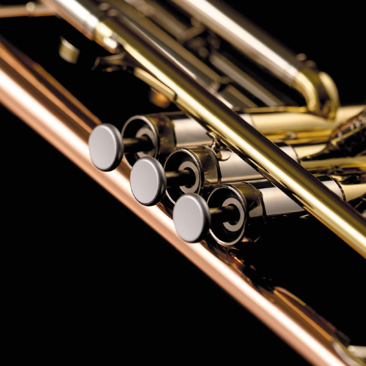 Magtop Button for Trumpet 【新品】 | 【クロサワ楽器店オンライン