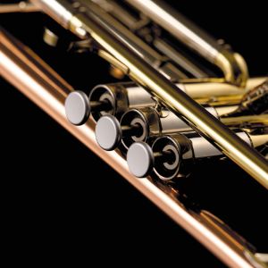 Magtop Button for Trumpet 【新品】 | 【クロサワ楽器店オンライン