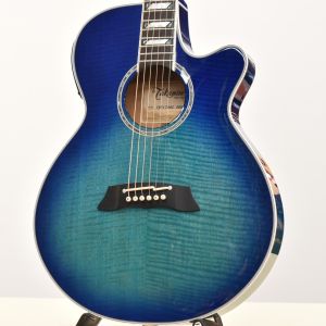 アコースティックギター、Takamineのアコースティックギター検索結果