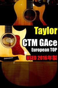 Taylor、中古のアコースティックギター検索結果一覧 | 【クロサワ楽器