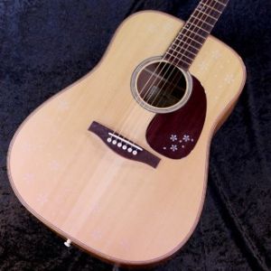 Headway、ドレッドノート タイプのアコースティックギター検索結果一覧