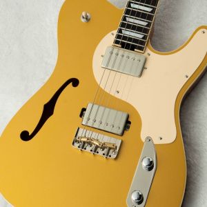 メイプルトップ/マホガニーバック、ハカランダ指板のエレキギター検索