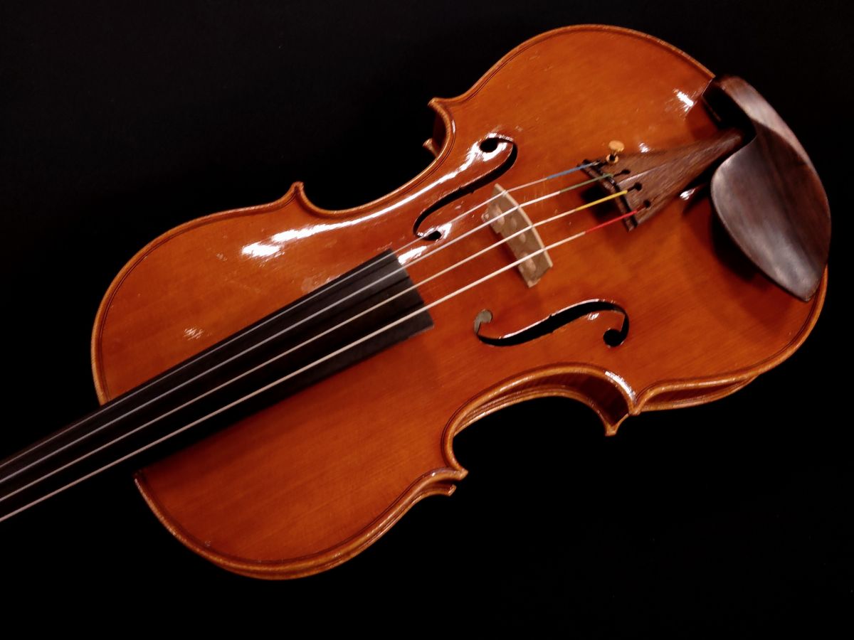 Roberto Delfanti 1990 Cremona 39.5cm | 【クロサワ楽器店オンライン