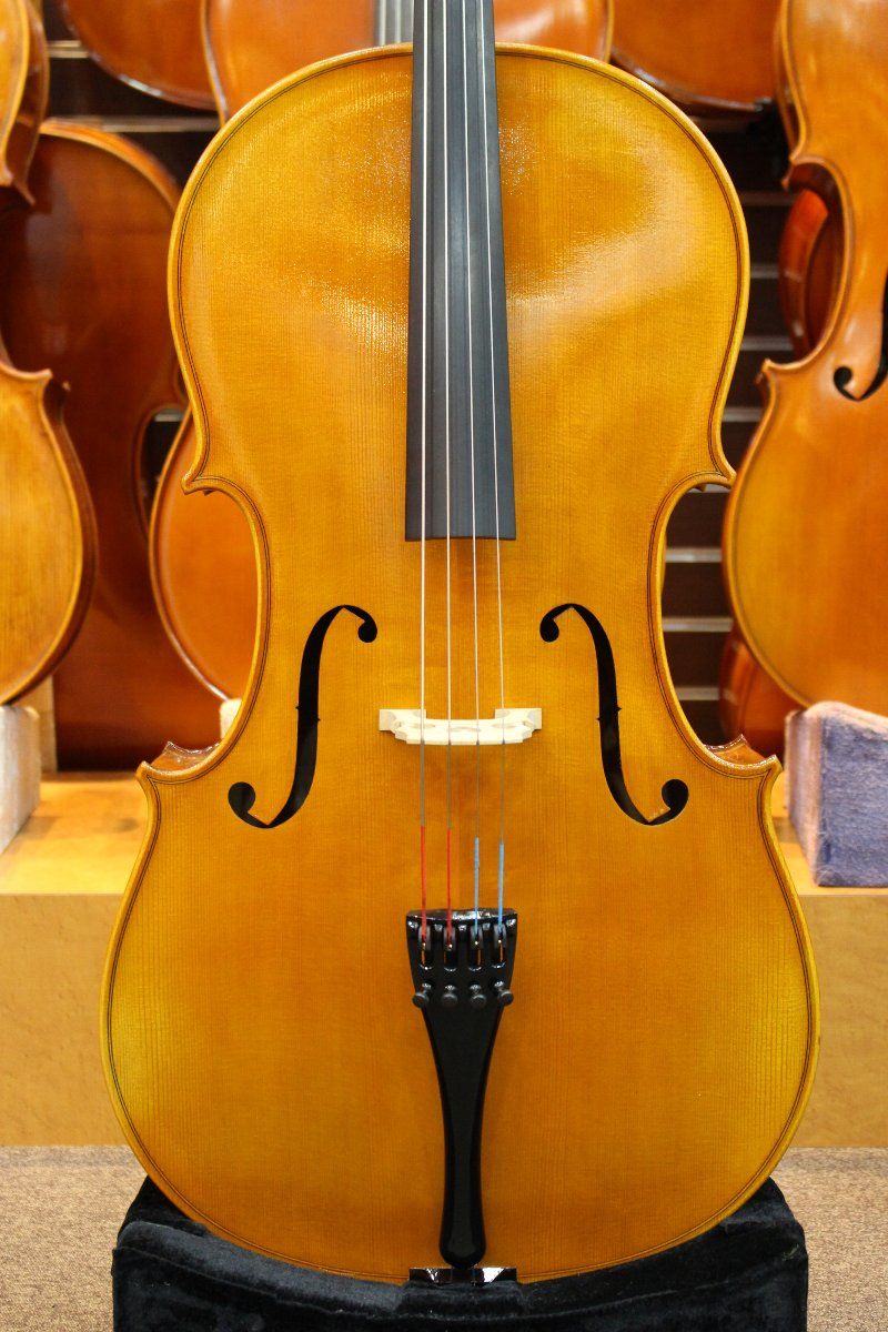 Anton Prell #4 7/8サイズ【中古チェロ】 | 【クロサワ楽器店