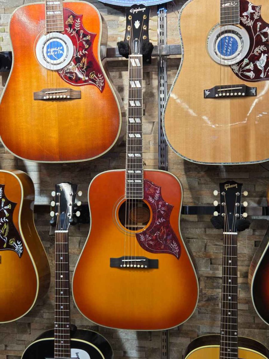 Hummingbird standard Cherry Sunburst | 【クロサワ楽器店オンライン