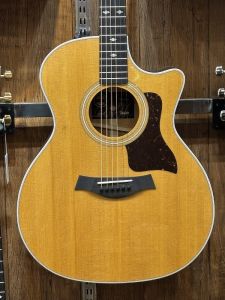 Taylor GS custom 一本物オーダー品　大変希少なギター Taylor GS custom 一本物オーダー品 大変希少なギター
