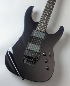 LTDのエレキギター検索結果一覧 | 【クロサワ楽器店オンラインショップ