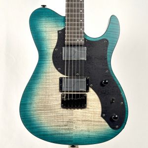 FUJIGEN(FGN)、ギグバッグのエレキギター検索結果一覧 | 【クロサワ