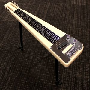 ラップスティール / ペダルスティールギターのアコースティックギター