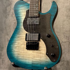 Fender Japan、デタッチャブル（ボルトオン）、池袋店エレキ本館の