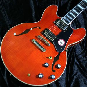ナチュラル / 木目 系、メイプルのエレキギター検索結果一覧