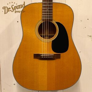 Martin、ハードケースのアコースティックギター検索結果一覧