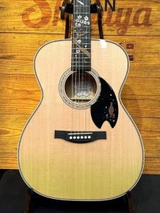 Headway、限定生産品のアコースティックギター検索結果一覧