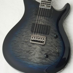 Paul Reed Smith(PRS)、黒 系のエレキギター検索結果一覧 | 【クロサワ