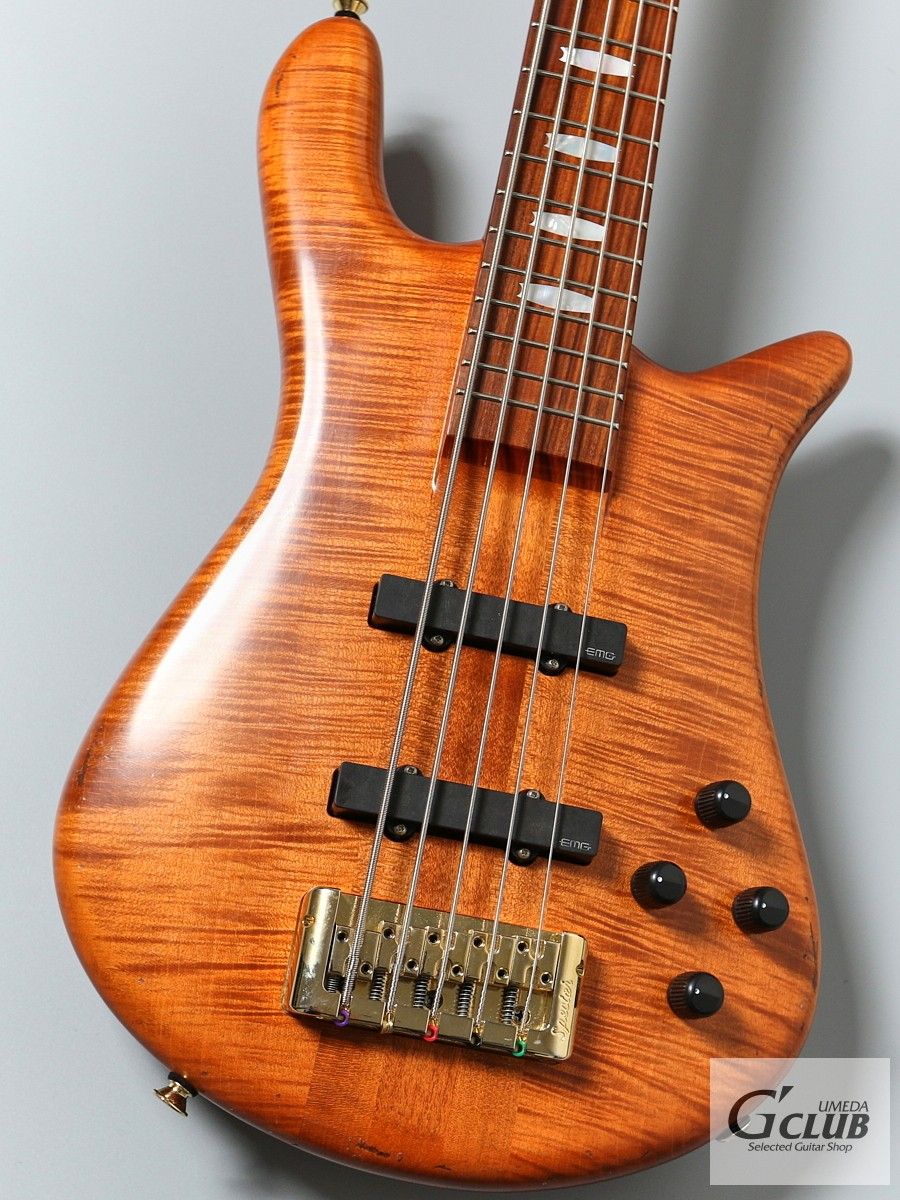 Japan Exclusive Series EURO 5 LX / Lacquer AGED Tint Natural