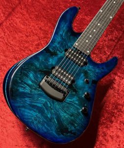 7弦、セミハードケースのエレキギター検索結果一覧 | 【クロサワ楽器店