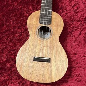 Martin、Dr.Sound アコースティック専門店のエレキギター検索結果一覧