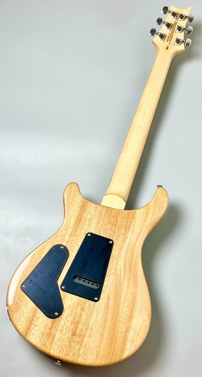 SE Custom 24 -Blue Matteo(Natural Back)- 2025年製 | 【クロサワ楽器