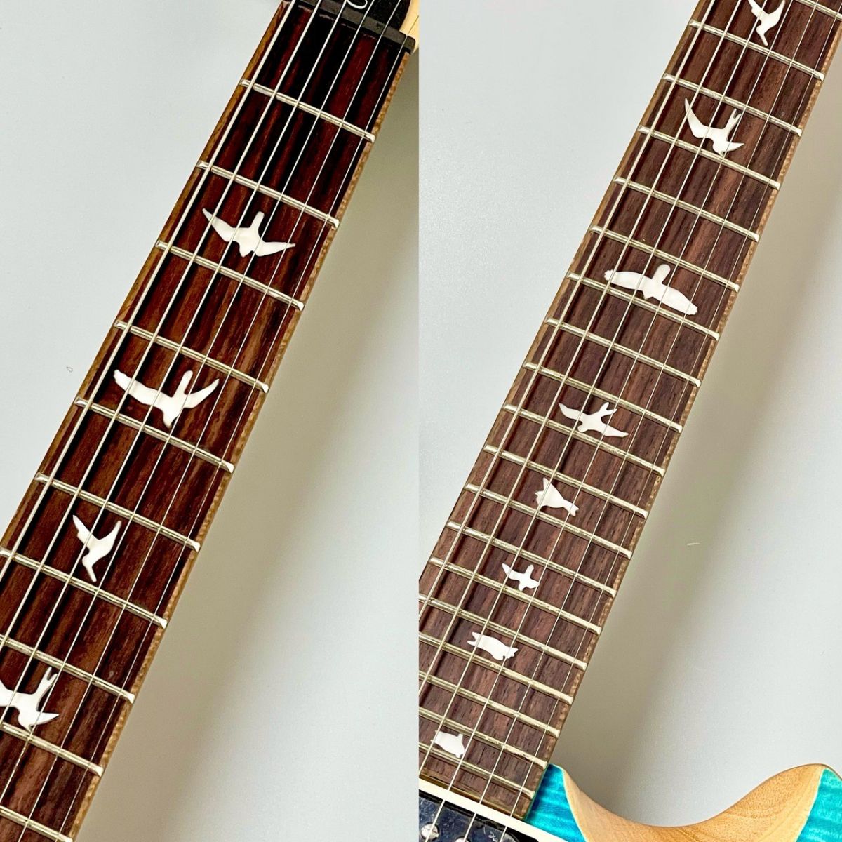SE Custom 24 -Blue Matteo(Natural Back)- 2025年製 | 【クロサワ楽器
