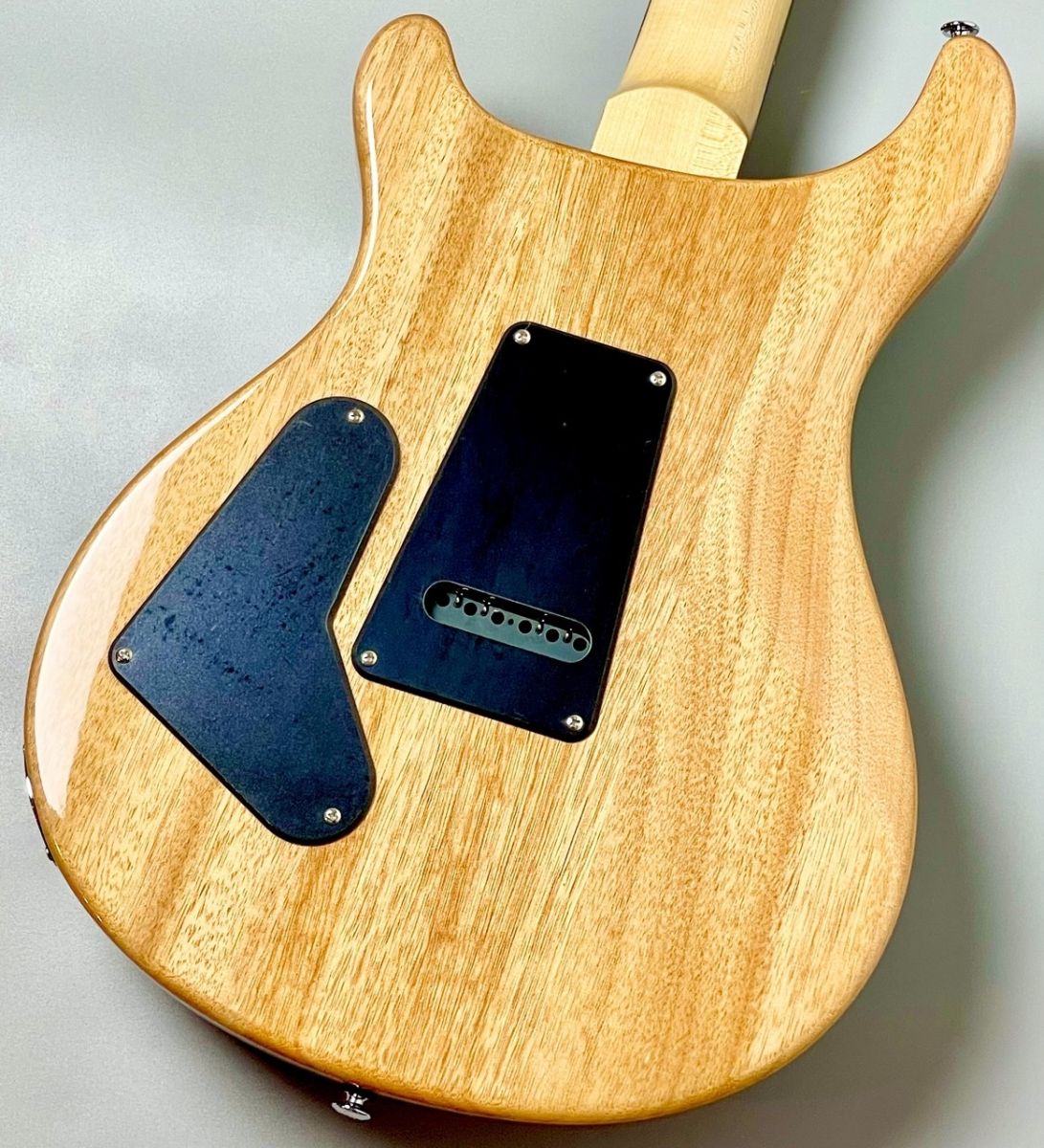 SE Custom 24 -Blue Matteo(Natural Back)- 2025年製 | 【クロサワ楽器