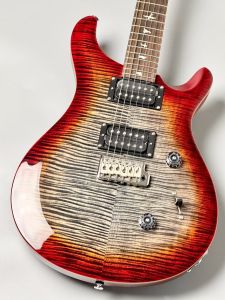 Paul Reed Smith(PRS)、24フレットのエレキギター検索結果一覧