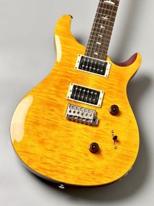 Paul Reed Smith(PRS)、24フレットのエレキギター検索結果一覧