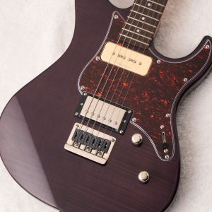 紫 系、メイプルのエレキギター検索結果一覧 | 【クロサワ楽器店