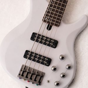 TRBX505 -Translucent White/ TWH- #IMH133689 | 【クロサワ楽器店