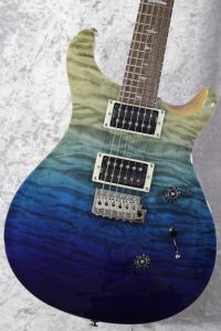 Paul Reed Smith(PRS)のエレキギター検索結果一覧 | 【クロサワ楽器店