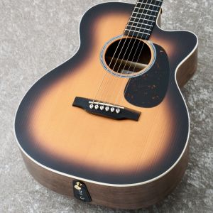 Ibanez、マダガスカルローズウッドのアコースティックギター検索結果