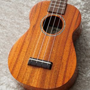 3万円～5万円未満、ハワイアンコアのウクレレ検索結果一覧